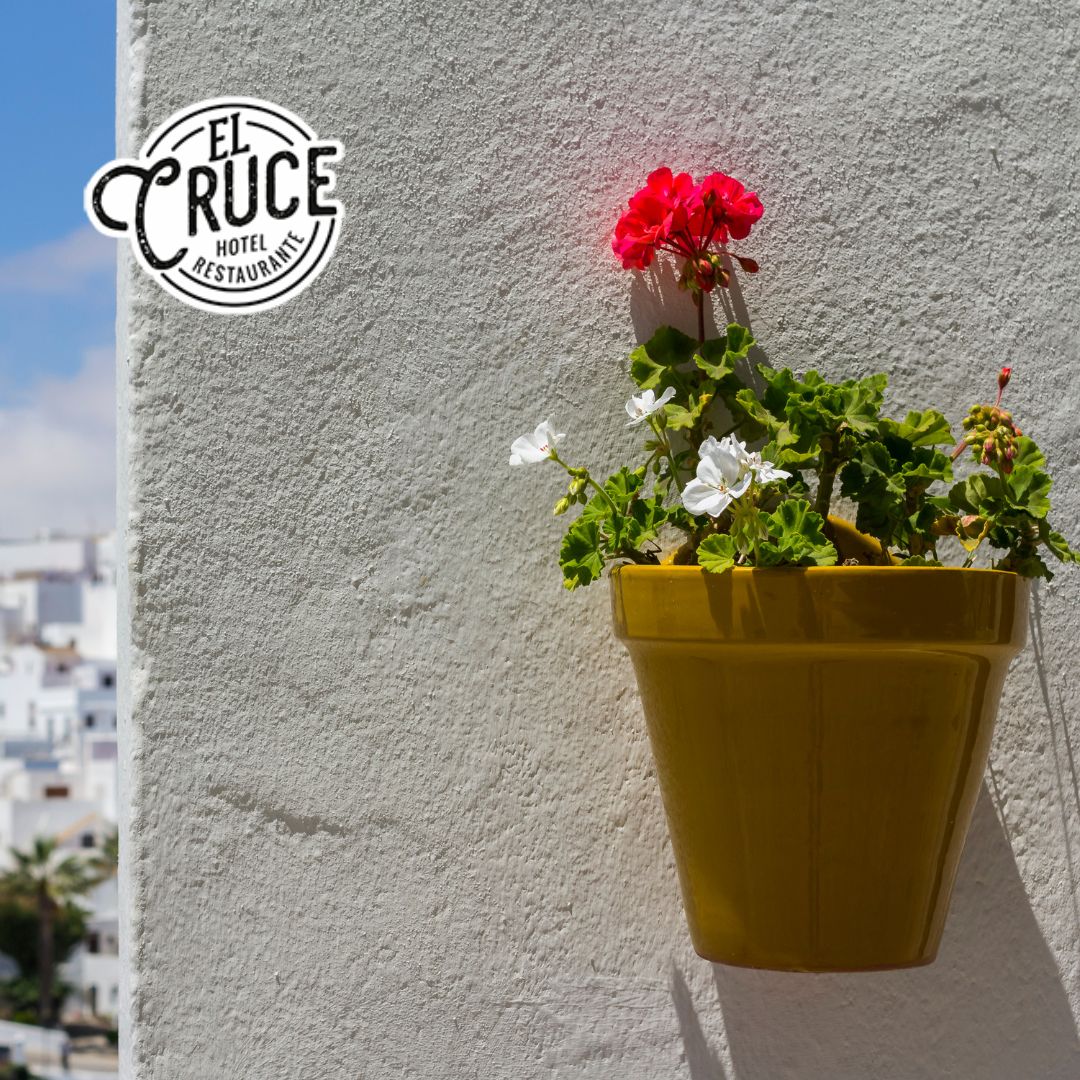 Disfruta del puente de Andalucía y Lorca en el Hotel El Cruce de Chauchina